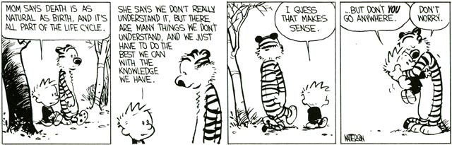 Calvin 72.jpg